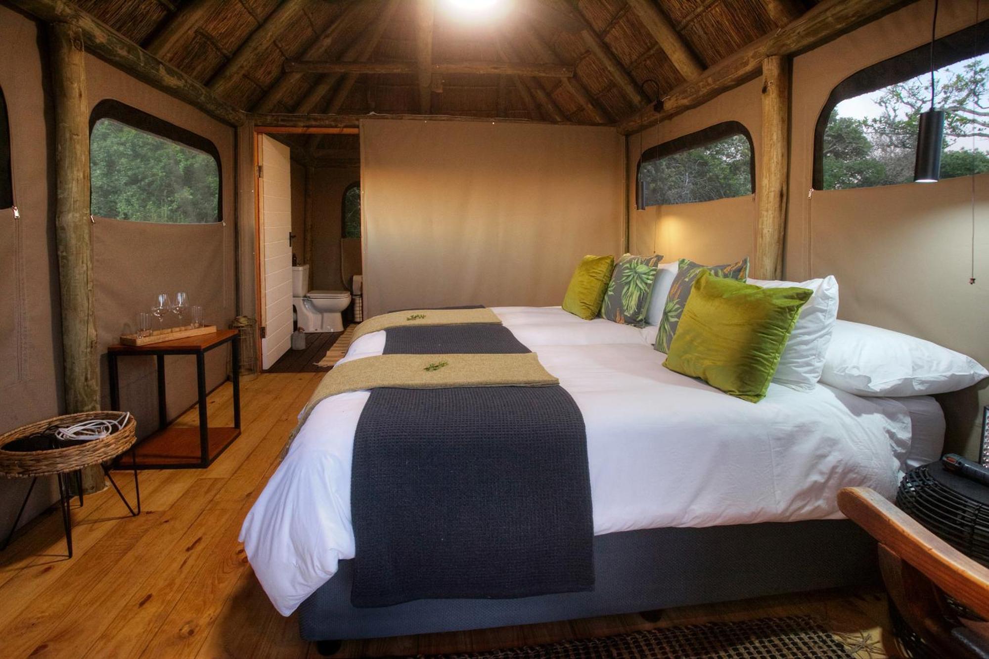 Addo Elephant Safari Lodge - Bellevue Forest Reserve Paterson Esterno foto