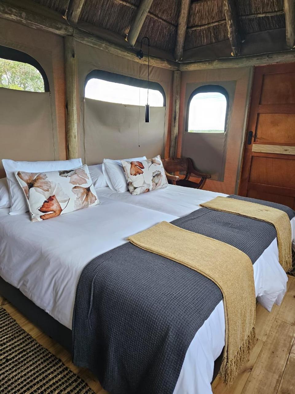 Addo Elephant Safari Lodge - Bellevue Forest Reserve Paterson Esterno foto
