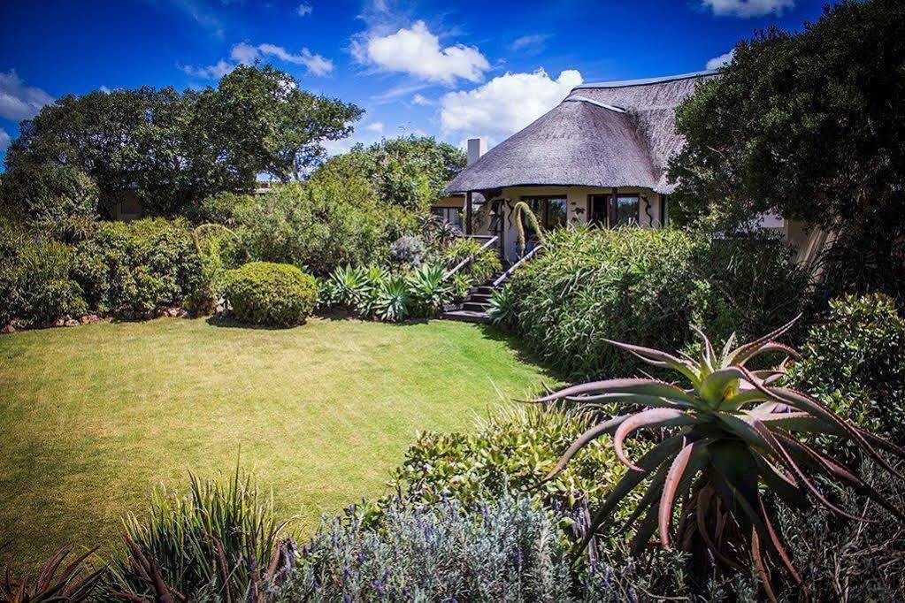 Addo Elephant Safari Lodge - Bellevue Forest Reserve Paterson Esterno foto