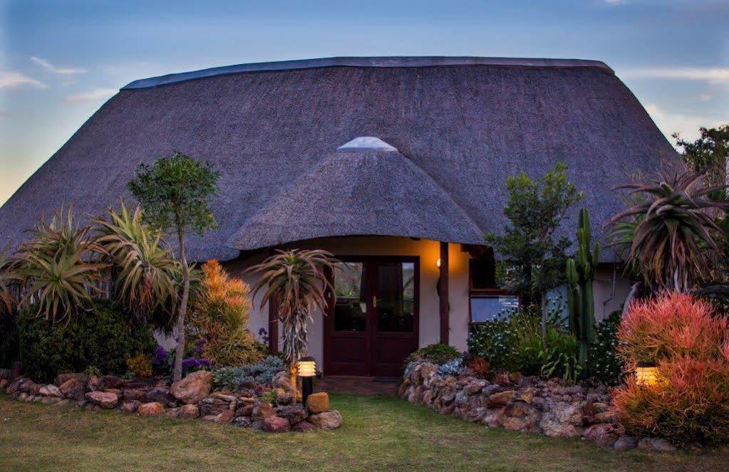 Addo Elephant Safari Lodge - Bellevue Forest Reserve Paterson Esterno foto
