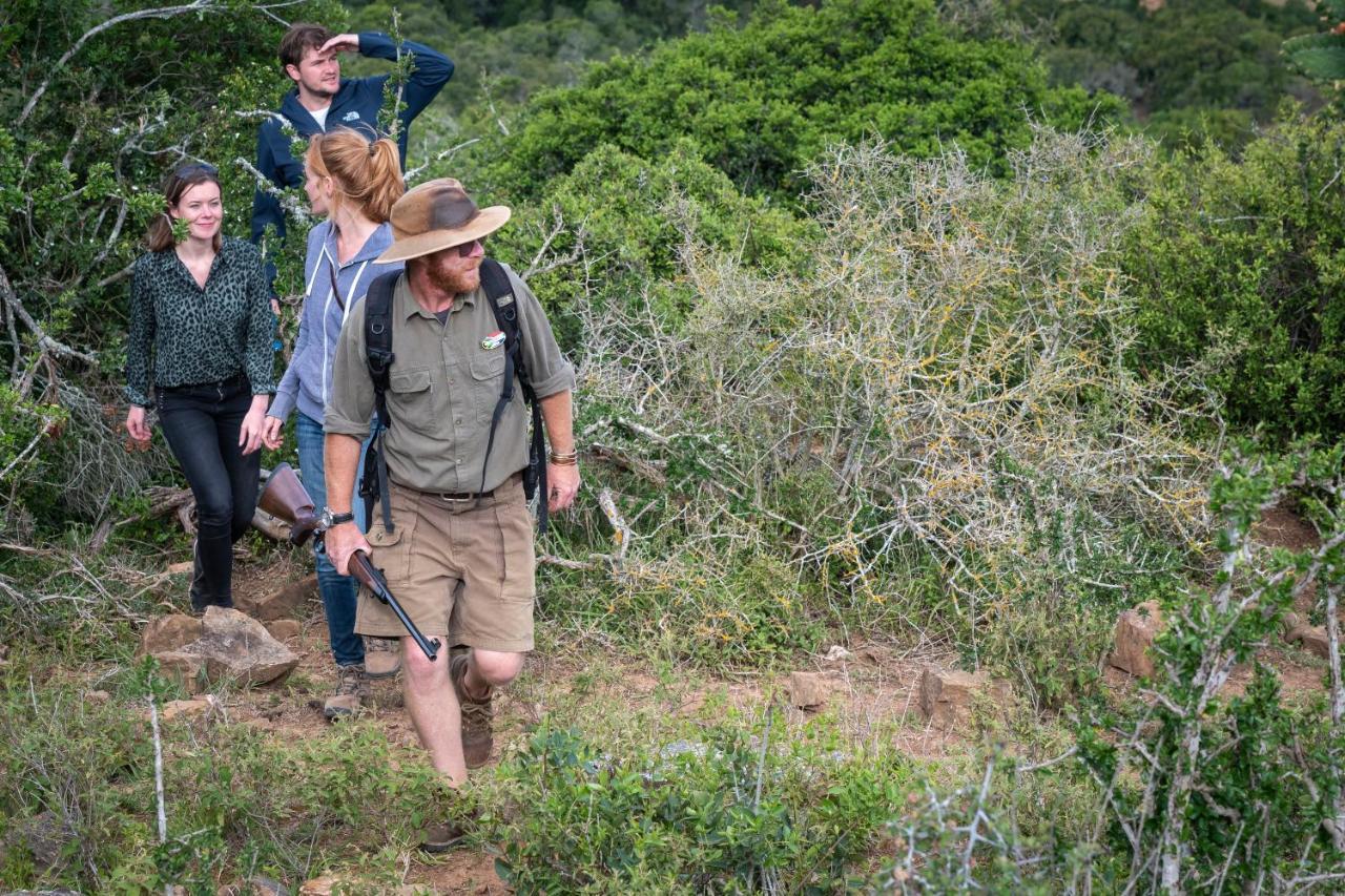 Addo Elephant Safari Lodge - Bellevue Forest Reserve Paterson Esterno foto