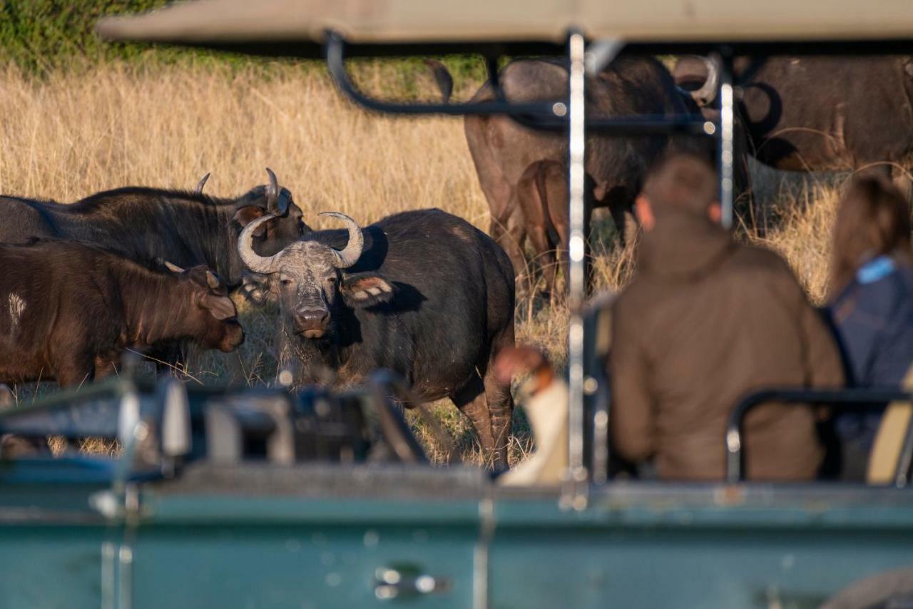 Addo Elephant Safari Lodge - Bellevue Forest Reserve Paterson Esterno foto