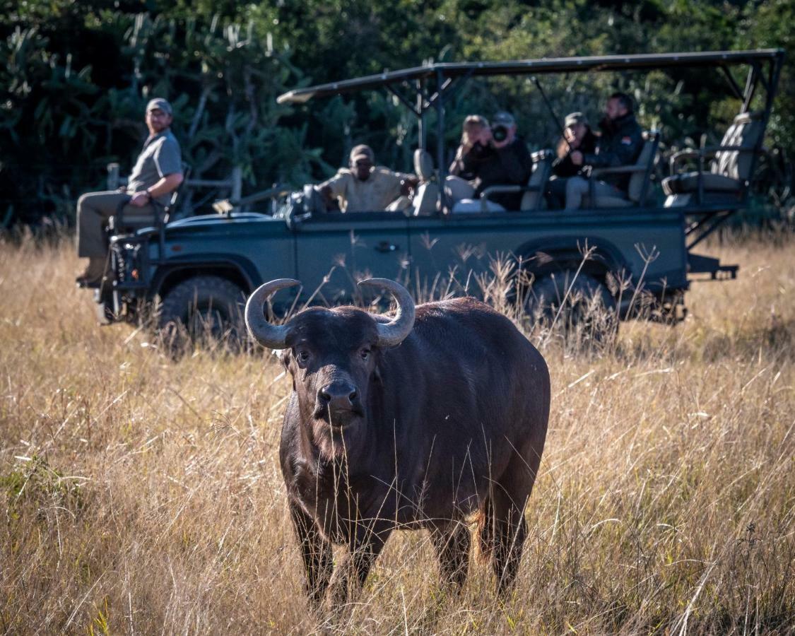 Addo Elephant Safari Lodge - Bellevue Forest Reserve Paterson Esterno foto